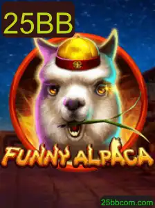 Descubra FunnyAlpaca: O Jogo de Cartas que Conquista Novos Espaços